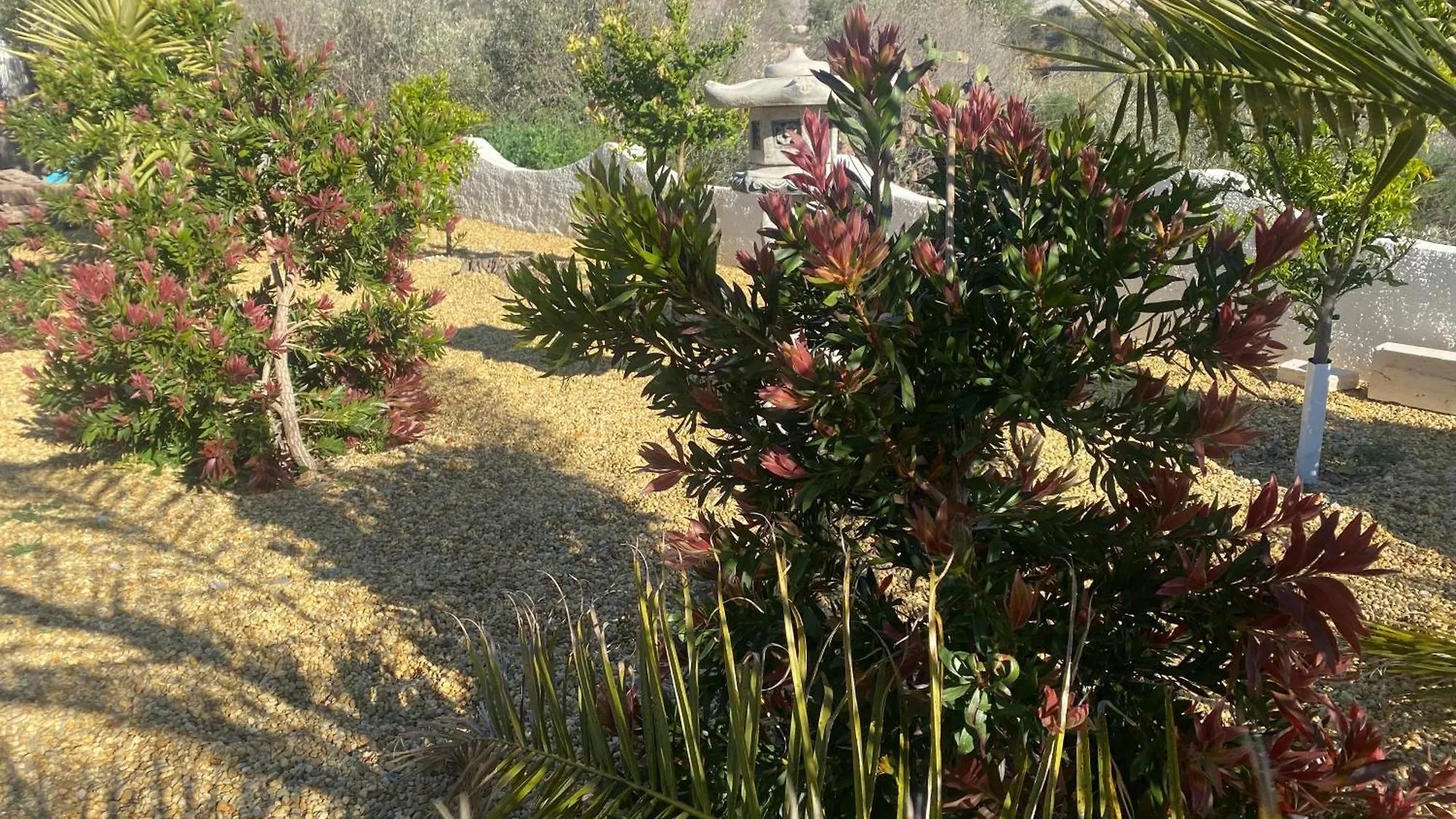 Bed & Breakfast Cortijo Los Corazones Cantoria Spain